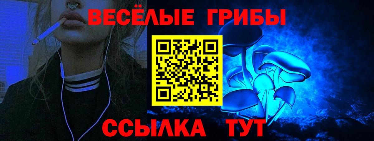 Псилоцибиновые грибы мицелий  Псилоцибиновые грибы Psilocybine cubensis  Вход с VPN  Люберцы 